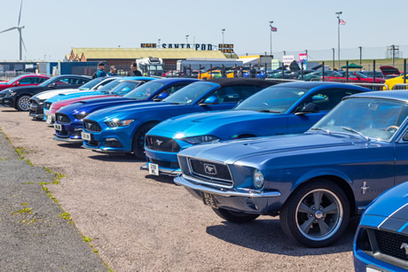RWYB The Ford Show