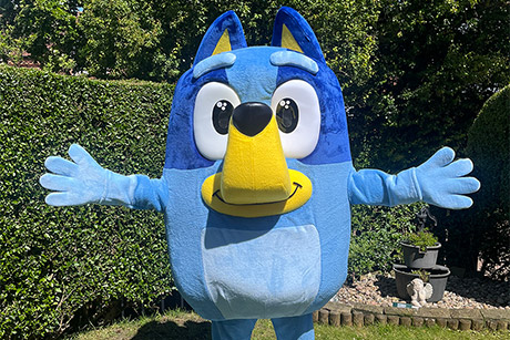 Bluey